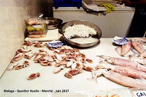 307- Malaga Huelin